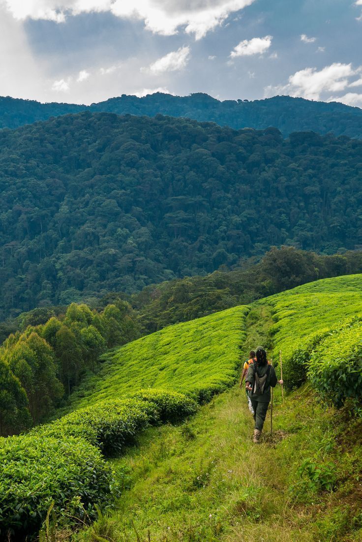 Kudremukh National Park trek tour from Madurai – Karnataka