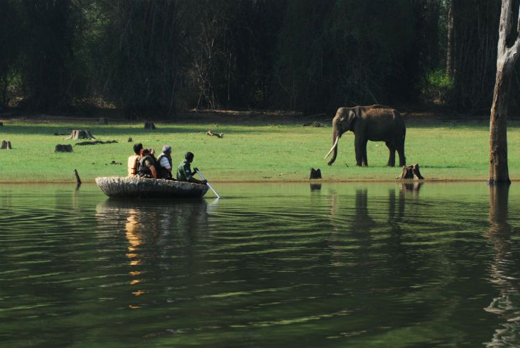 Kabini river resort tour from Madurai – Nagarhole wildlife Karnataka
