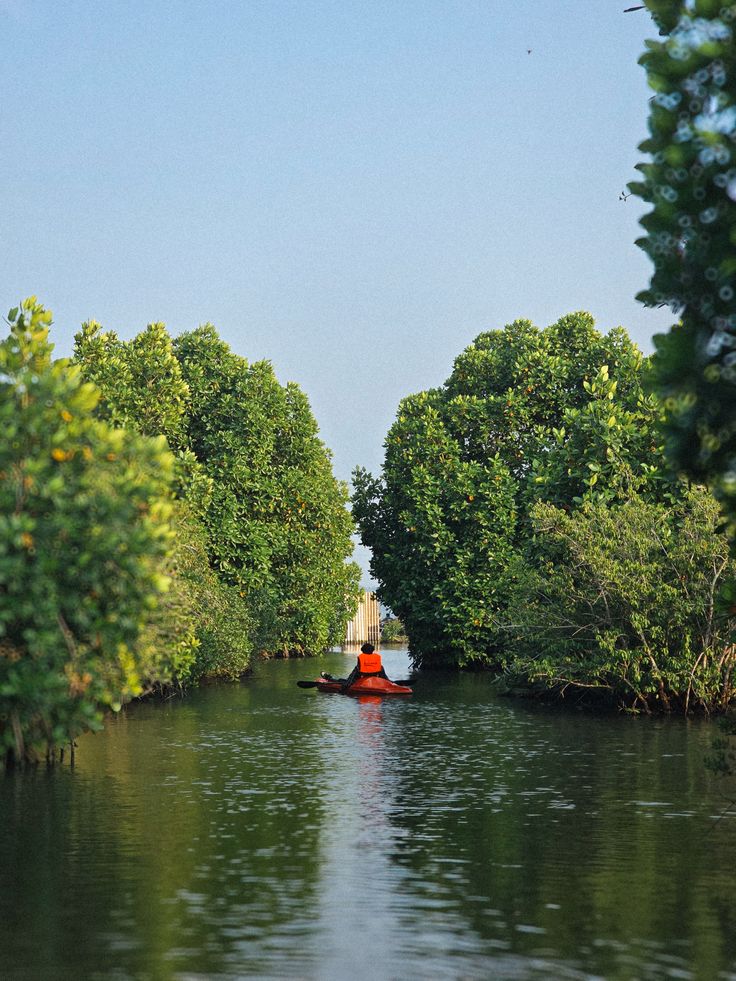 Kollam Ashtamudi backwaters tour from Madurai – Kerala