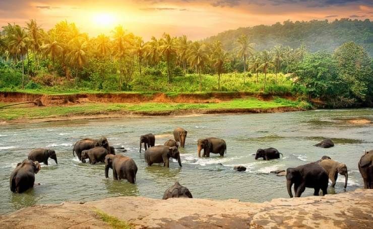 Thekkady Periyar Wildlife Sanctuary tour from Madurai – Kerala