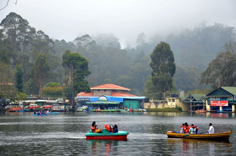 Kodaikanal trip from Madurai – lake, Coaker Walk and Pine Forest